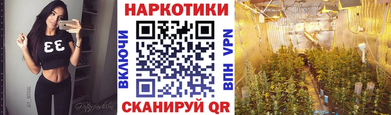 Купить наркотики сайты Судогда Cocaine АМФ ГАШИШ Бошки Шишки Галлюциногенные грибы Мефедрон