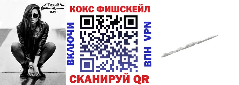 Кокаин FishScale  Судогда 